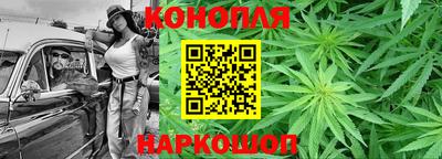сатива Кингисепп