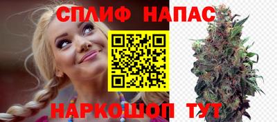 сатива Кингисепп