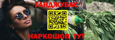 сатива Кингисепп