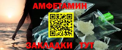сатива Кингисепп